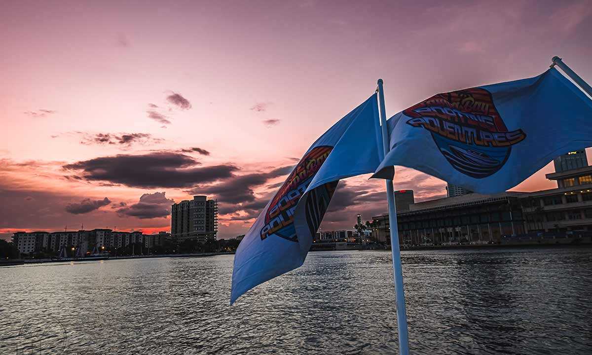 Tampa Bay Boating Adventures flags flying at sunset with the bay behind them.