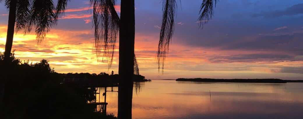 Sunset with palm trees