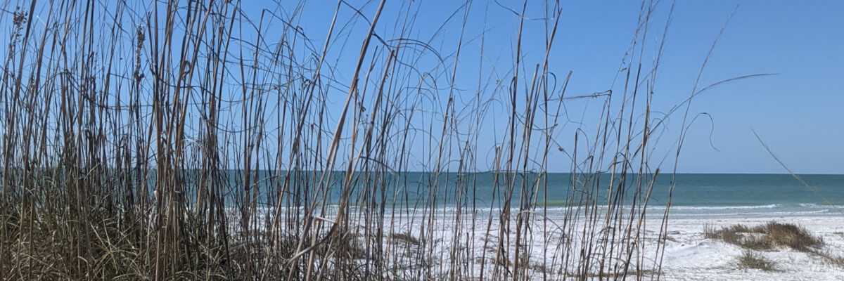 Fort de soto beaches and gulf