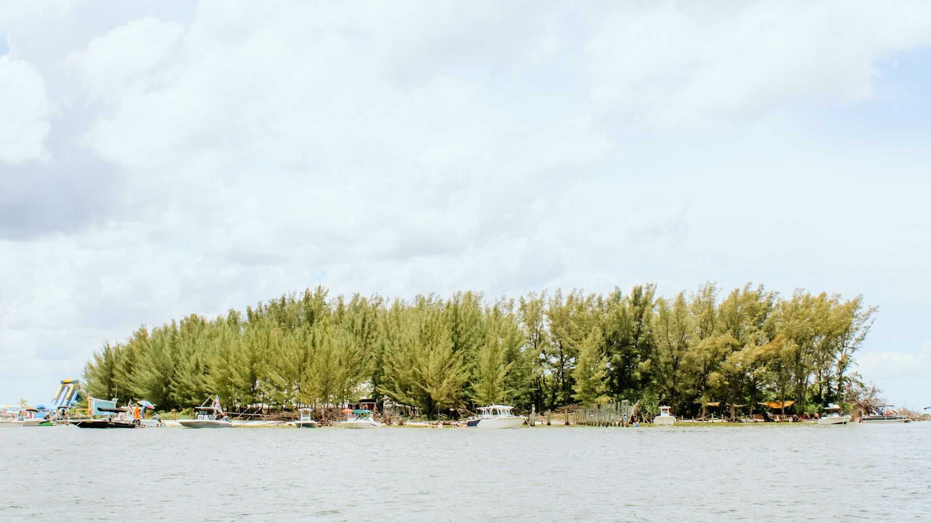 Friends swimming and floating near a local island in Tampa Bay.
