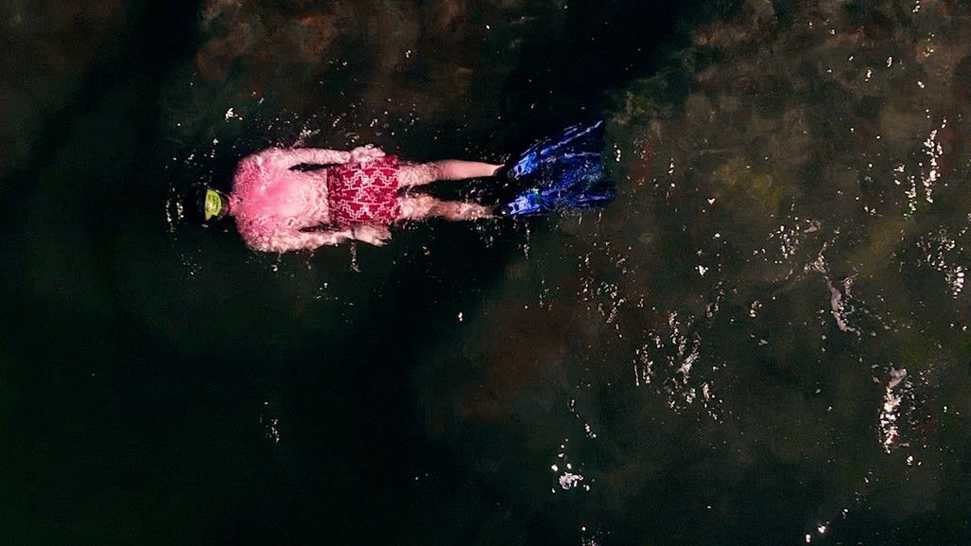 snorkeling-overhead-shot-reef-fish