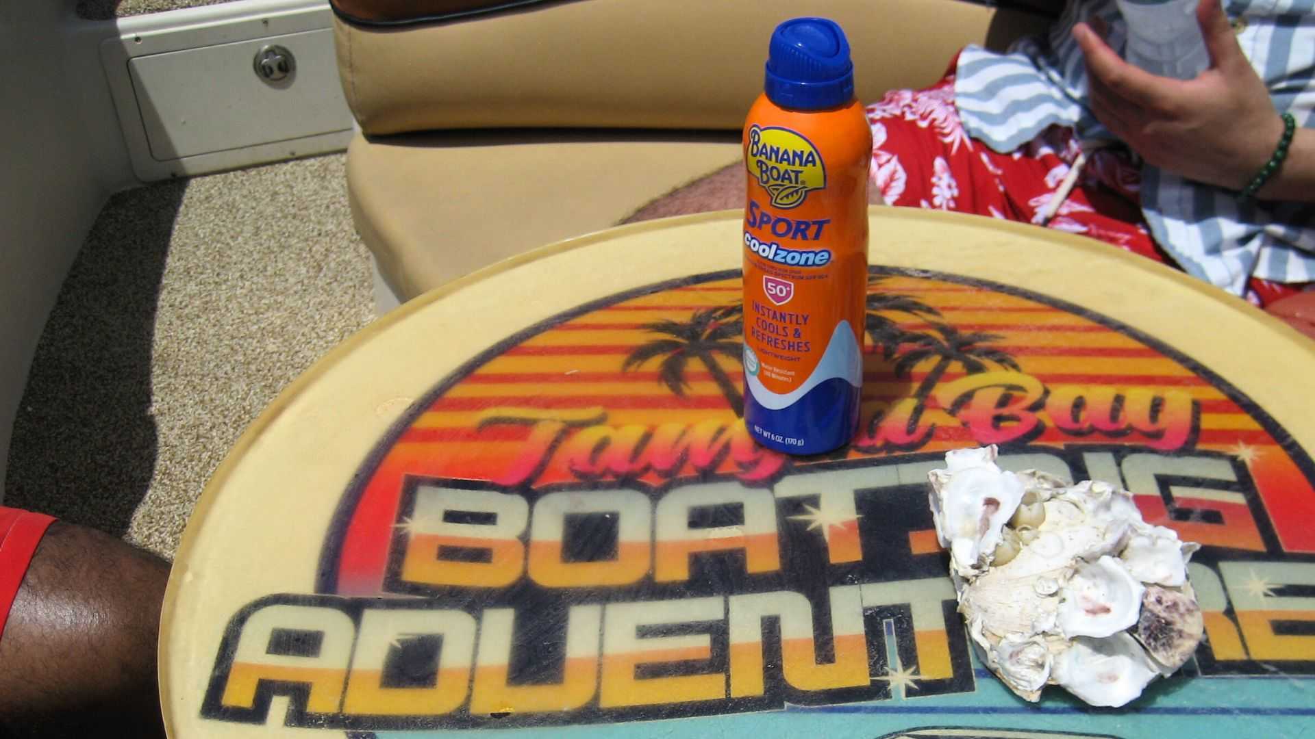 captained boat cruise tampa bay