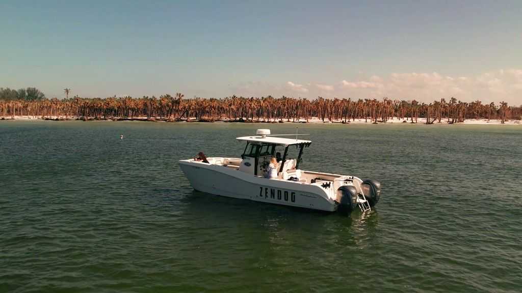 zen-dog-egmont-key-snorkeling-island